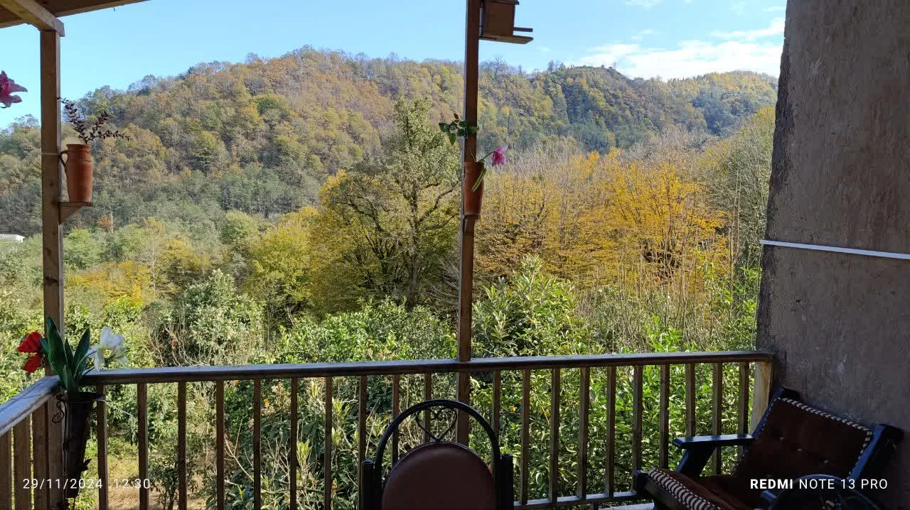 کلبه آرامش امینی