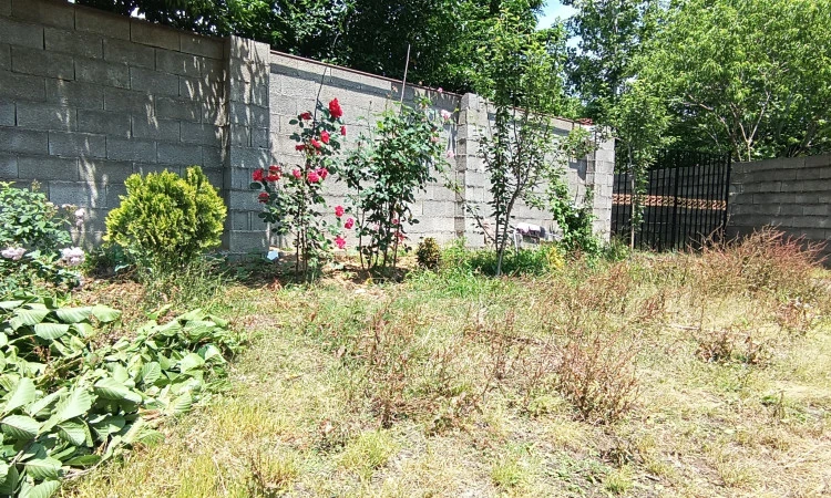 سوئیت روستایی دریاچه فومن