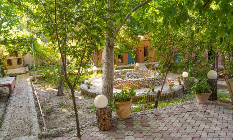 سرای مادری (نباتی)