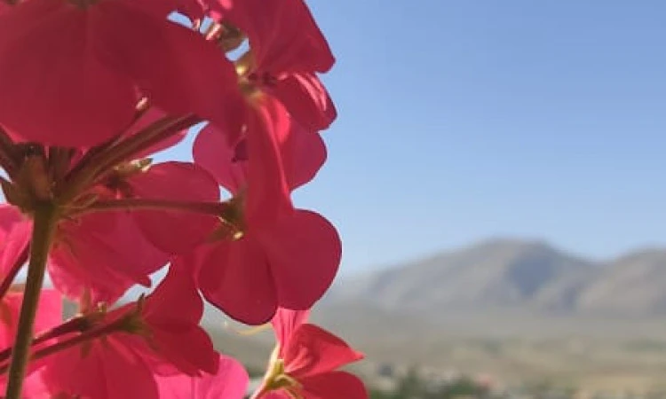 نگهدار (اتاق 7)