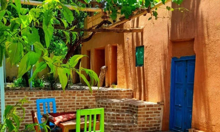 سرای مادری (نباتی)