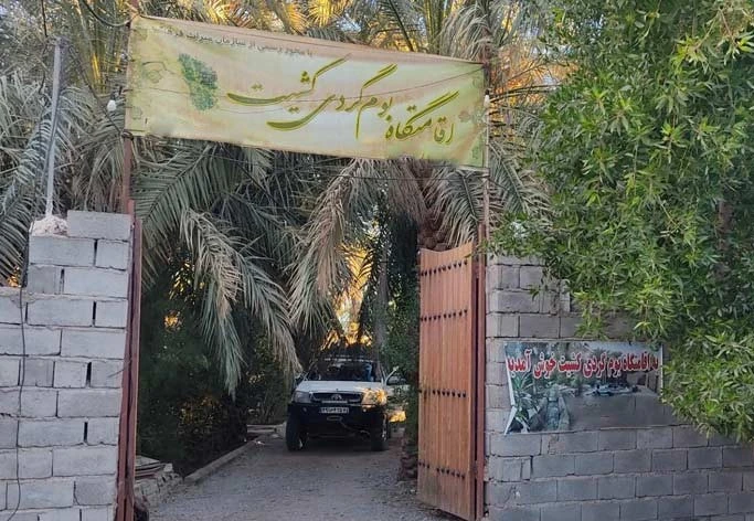 اقامتگاه ایلیا کشیت