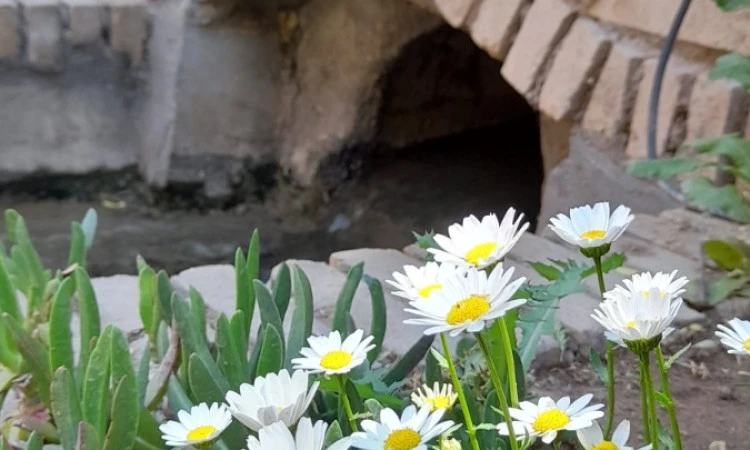 اقامتگاه عمارت دلگشای ماهان (سوئیت سنتی شاه نشین)
