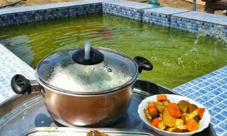 اقامتگاه پیسو بوشهر (اتاق پلیسوک)