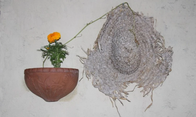 بومگردی آفتاب چاهکوه قشم ( اتاق4 نفره )