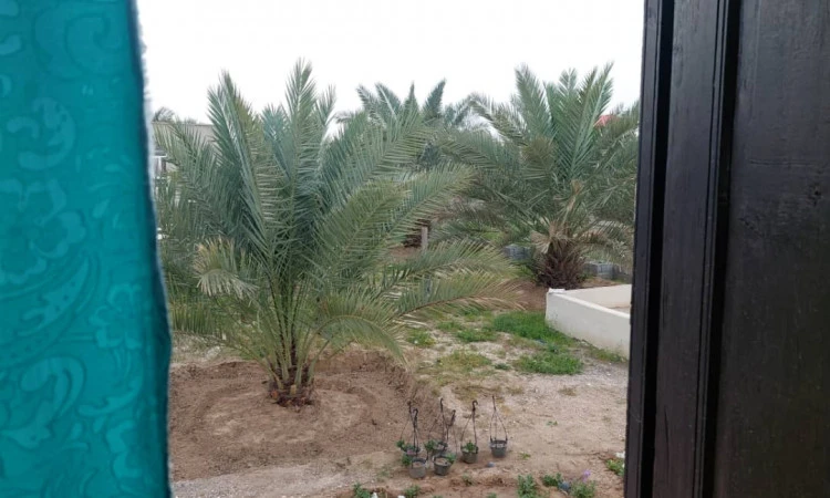 بوم گردی سلت خورموج (اتاق نخل)